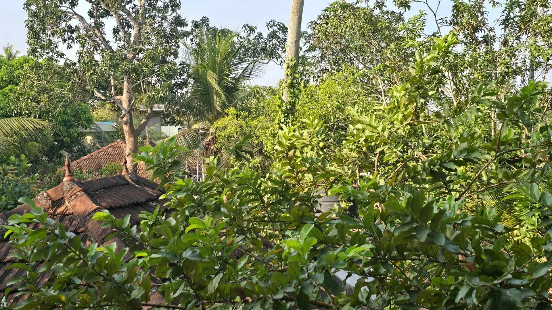 Bella Homestay Kerala Alappuzha India
